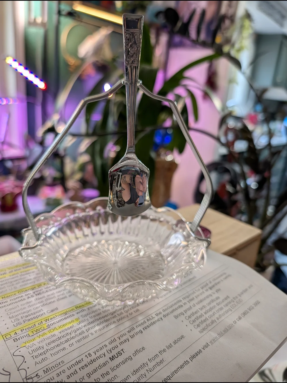 Glass Candy Dish with Silver-Tone Handle - Clear and Silver Serving Basket